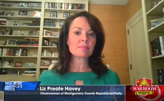 War Room Pandemic with Stephen K Bannon Episode 537 Part 3 With Liz Preate Havey