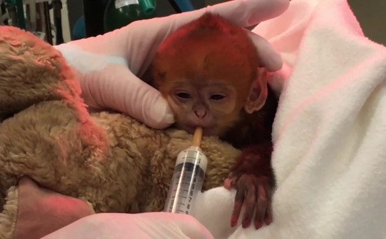 Look at This Cute Baby Money