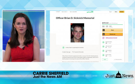 Go Fund Me memorial fund for Officer Brian Sicknick