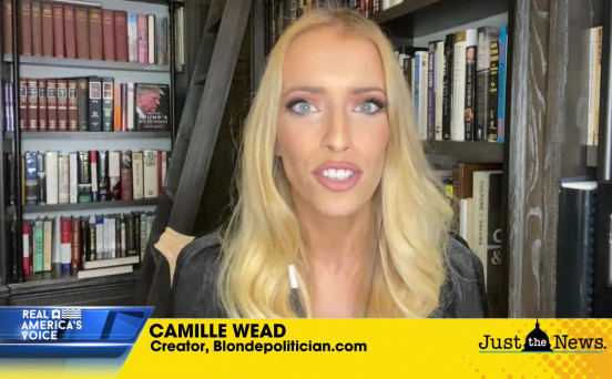 CAMILLE WEAD, CREATOR OF blondepolitician.com, BRINGS US A MUCH NEEDED LAUGH
